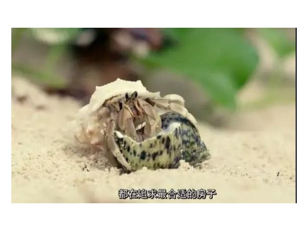會移動的戶外廣告來了，根本不夠看！